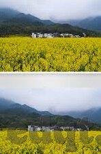 糖心vlog iOS下载-糖心 Vlog，记录生活里的甜蜜瞬间